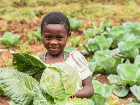 A girl holding cabbages